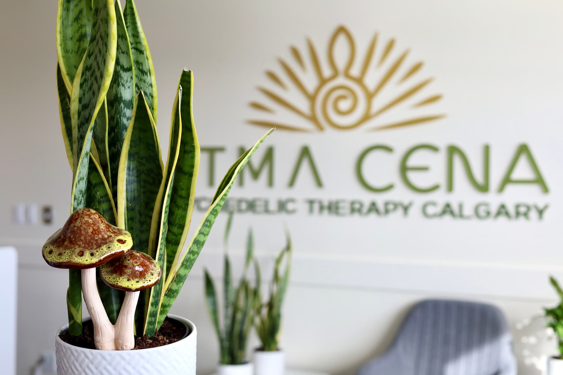'ATMA CENA' now has 13 psychedelics clinics throughout Canada