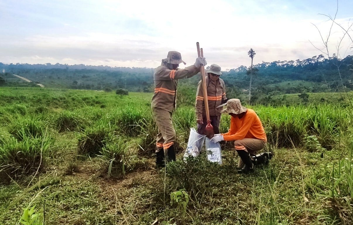 GoldMining gets exploration permit for Brazilian gold-copper site after years of delays