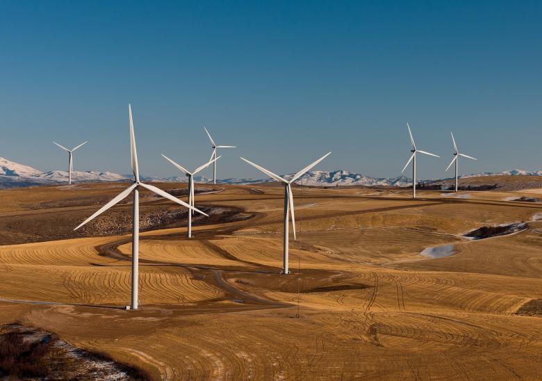 Federal judge rules Trump’s halt on wind farms “unlawful”