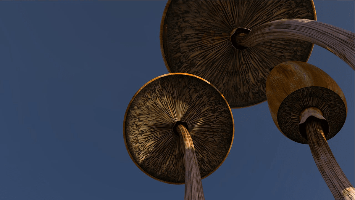 American DEA boosts psychedelic drug production quotas