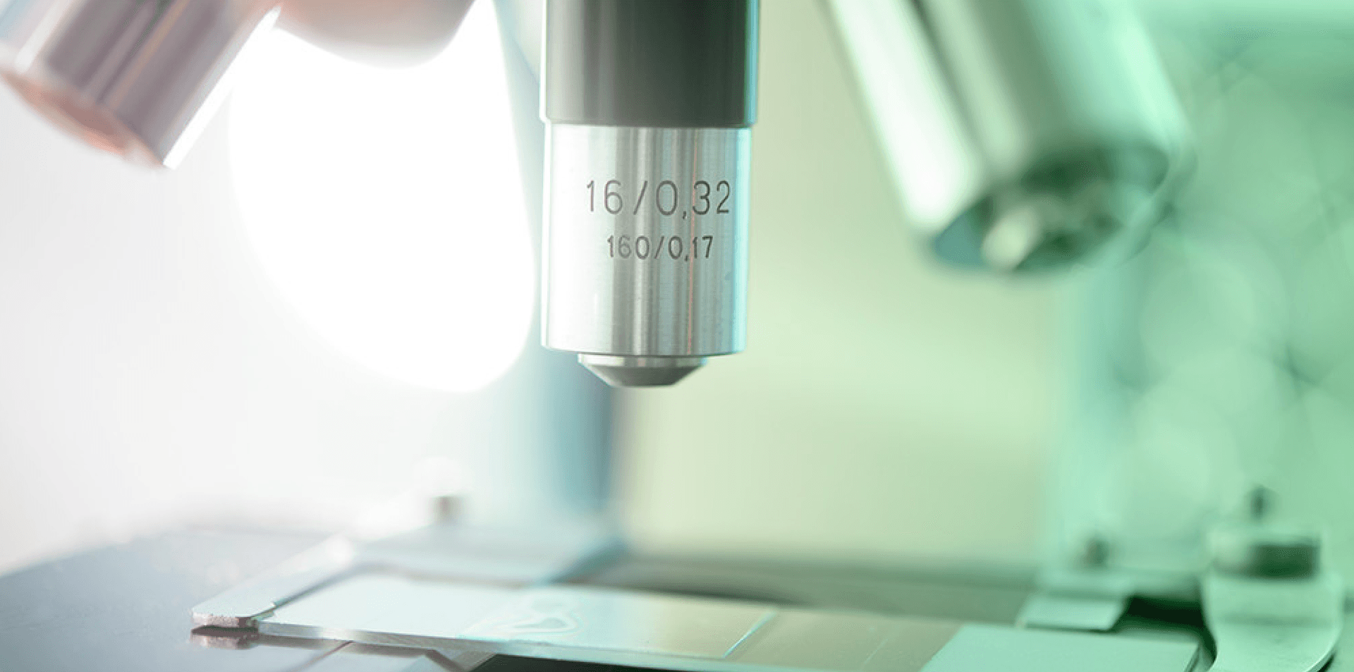 Immutep completely tanks after discontinuing lung cancer drug trial