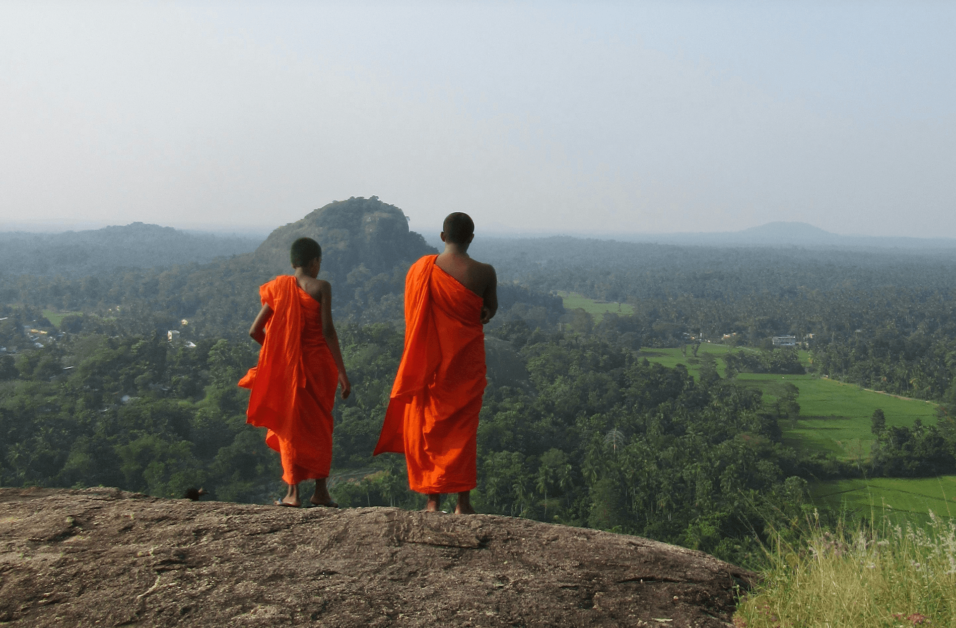 Unlikely culprits: 22 Buddhist monks arrested in Sri Lanka for smuggling cannabis