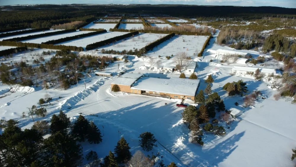 NexGold launches airborne VTEM and gravity surveys at Nova Scotia gold project