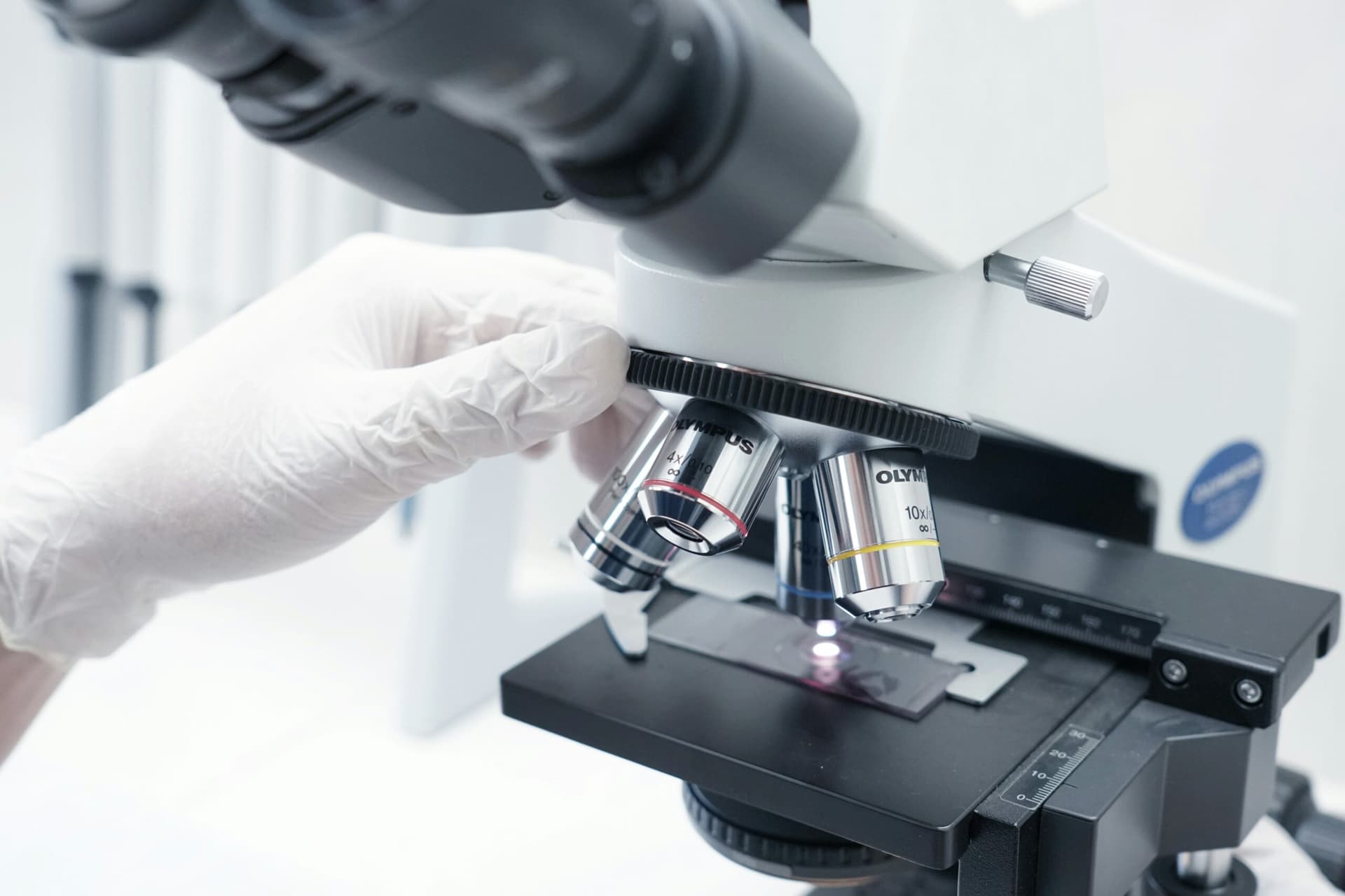 CNS Pharma sees 250% spike from oversubscribed private placement