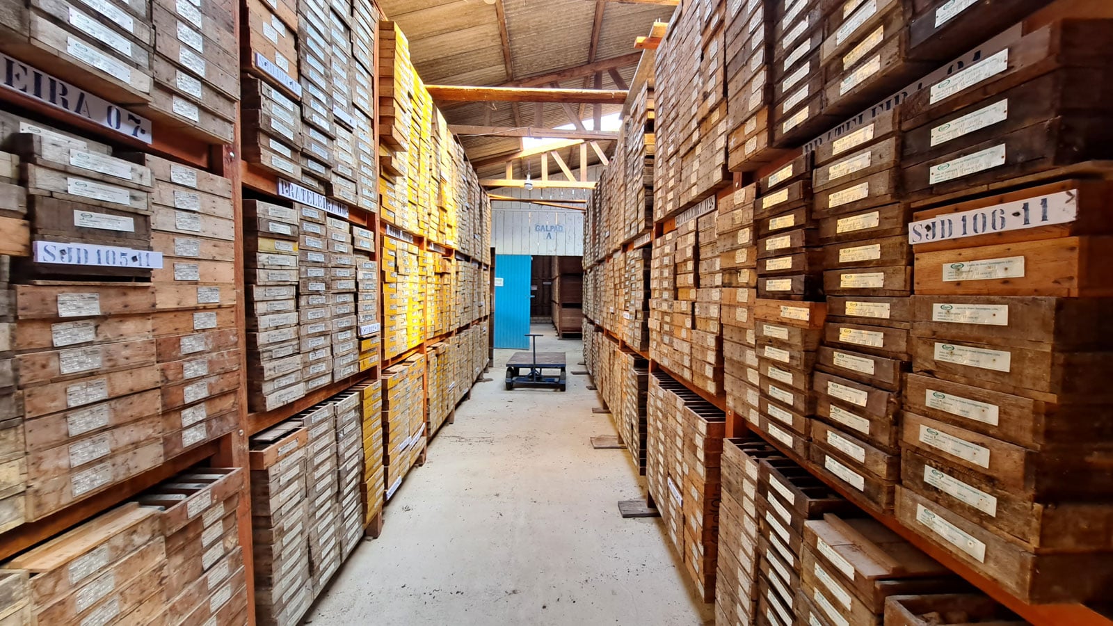 GoldMining's Brazil PEA sends stock up by over 10%