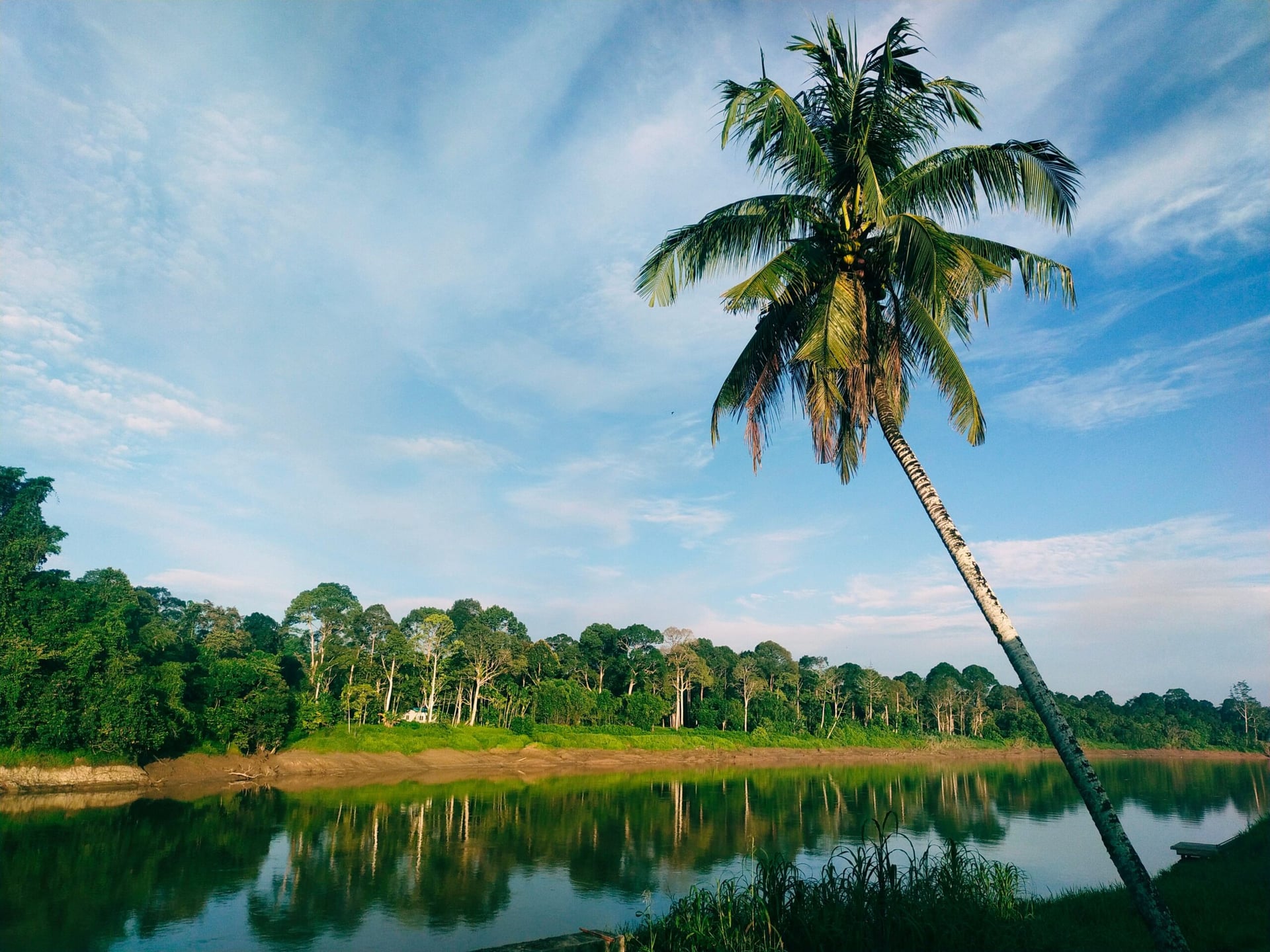 Sarawak employs satellite tech to map out its rare earth reserves