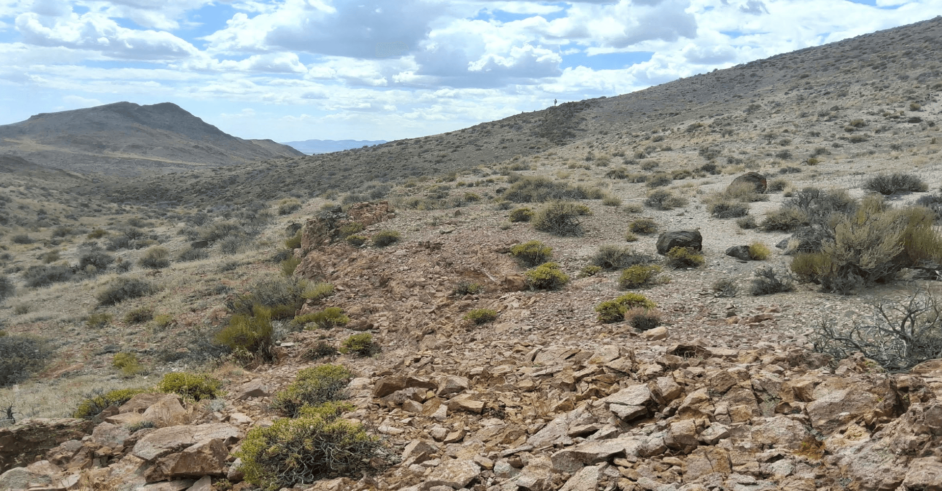 Orogen and Altius Minerals tackle another greenfield gold asset in Nevada