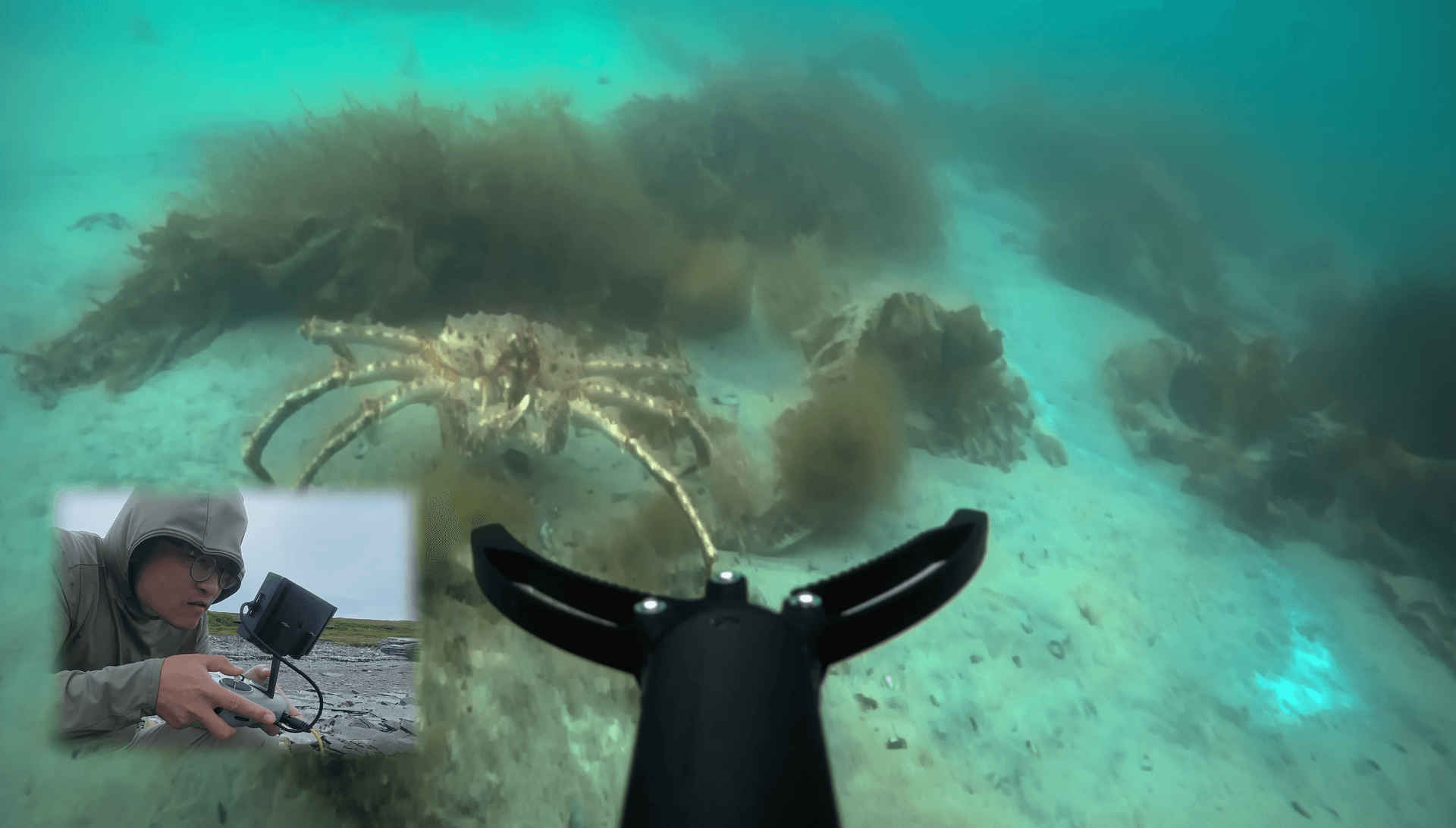 Vlogger's underwater crab fishing drone goes viral