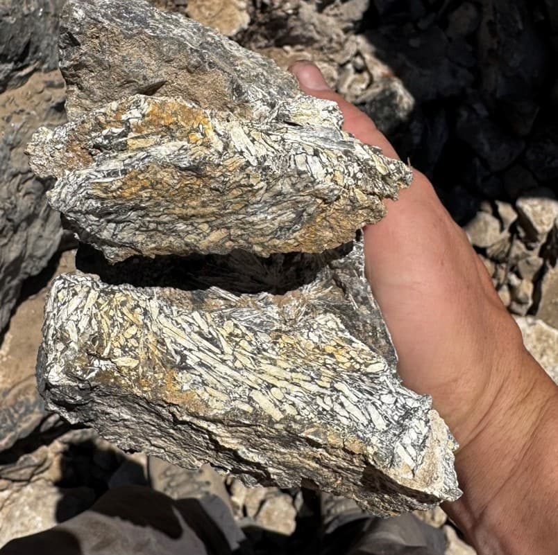 Western antimony producers race against permitting clock as China restricts supply