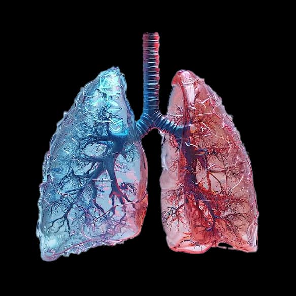 bioAffinity Technologies jumps 63% on Hong Kong lung cancer screening patent