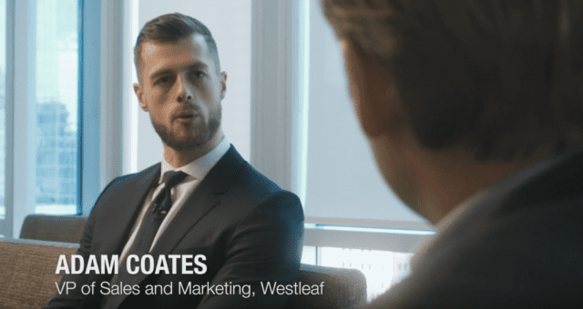 Westleaf's world-leading management team