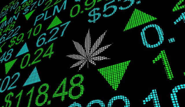 Despite Summer Selloff, Eight Capital Still Bullish on Cannabis Sector