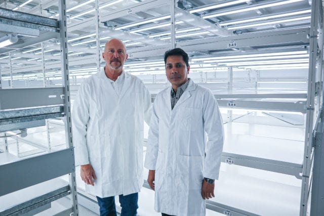 Segra granted licence to grow premium cannabis clones using tissue culture