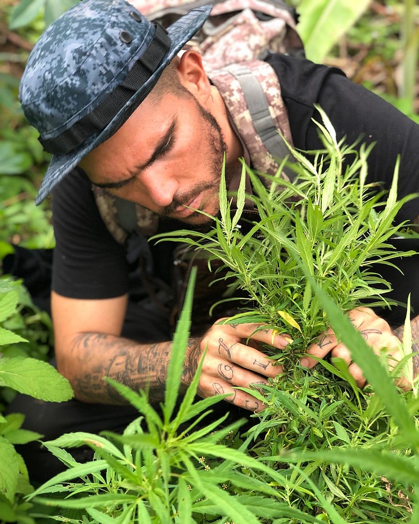 Cannabis in Colombia company Founder Manolo Rivera