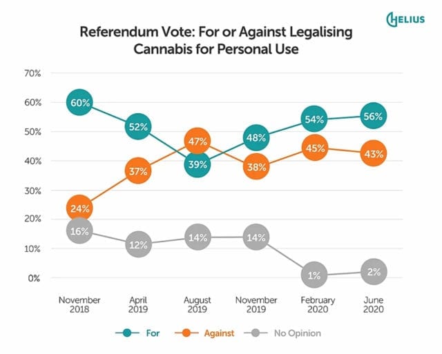 Majority of Kiwis will vote in favour of cannabis legalization, new poll finds