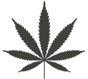 Mugglehead Magazine favicon leaf Mugglehead Magazine favicon leaf