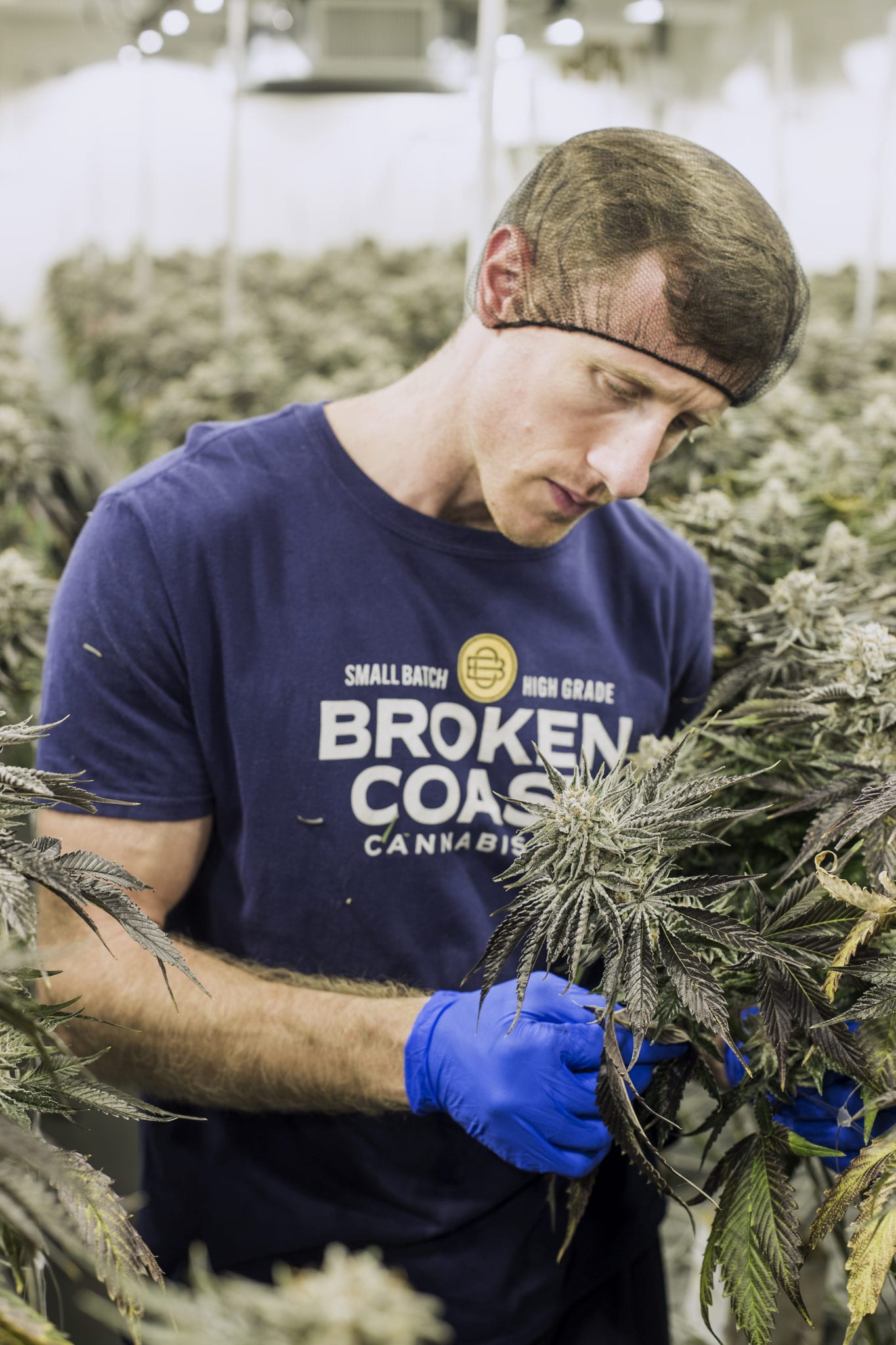 'No way to compromise on quality' - a conversation with Broken Coast's Kevin Anderson - portrait