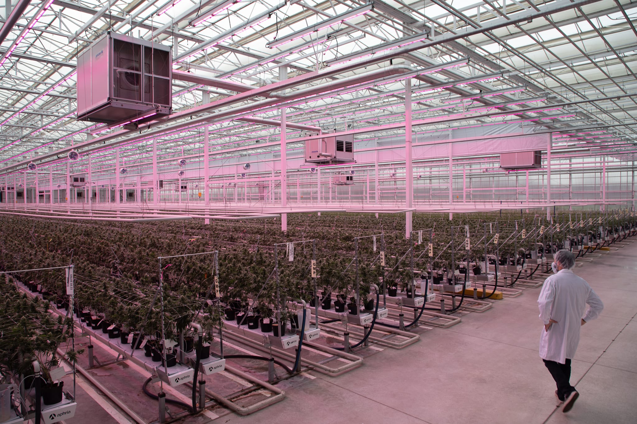 How Aphria is fighting for more market share marketing VP Q&A - facility plants