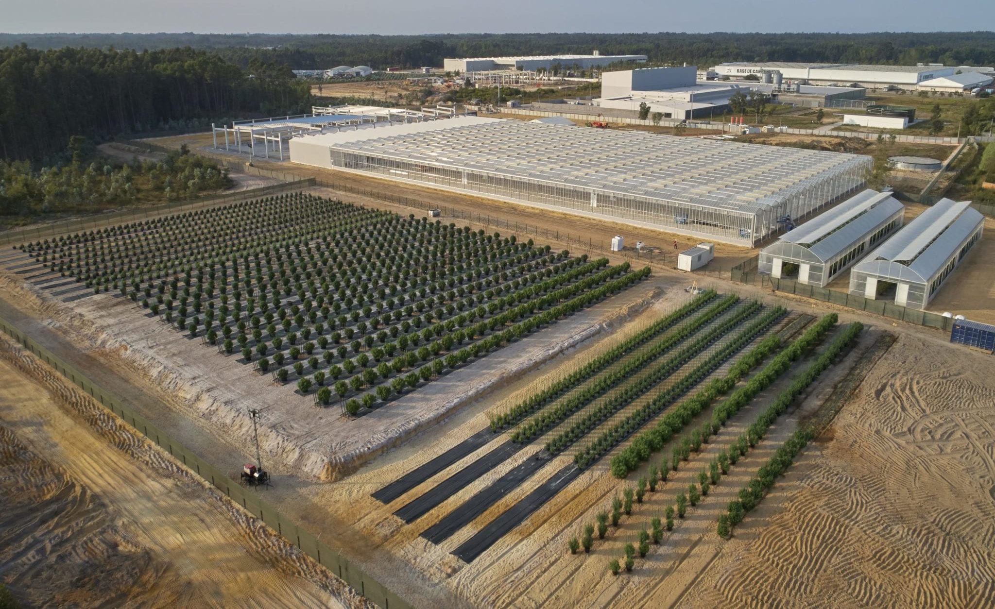 Tilray reduces required shareholder vote count to 1/3 for Aphria merger