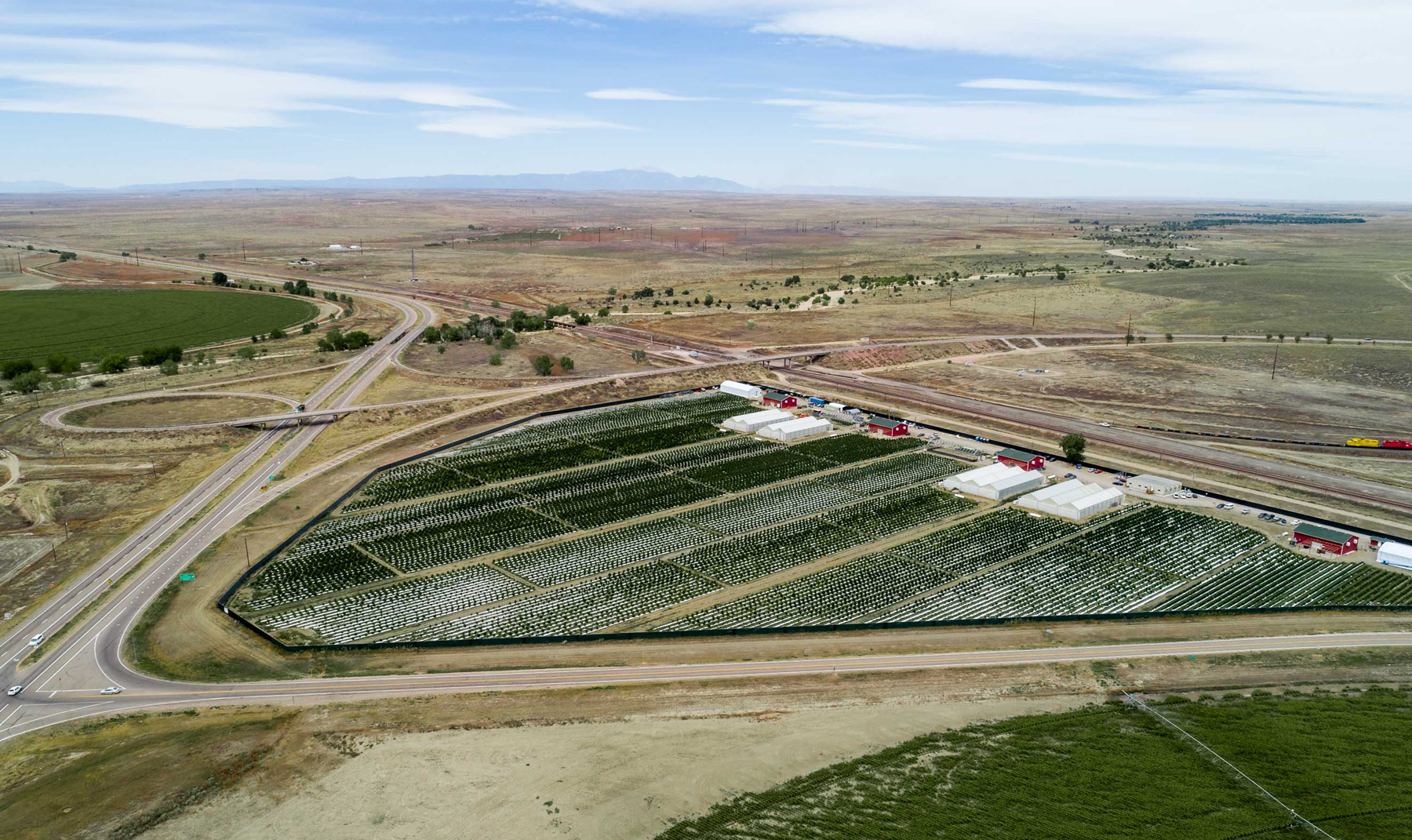 Curaleaf cuts US$67M deal for outdoor Colorado grower