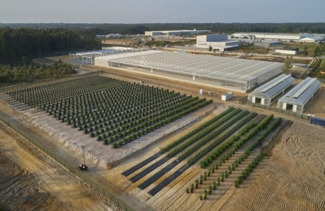 Tilray’s GMP-certified EU facility in Portugal