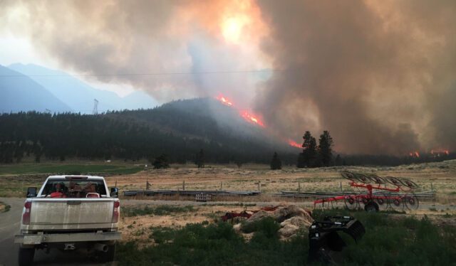 Wildfires disrupt cannabis cultivation in southern BC