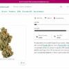 Leafly to raise US$30M in convertible notes ahead of public listing