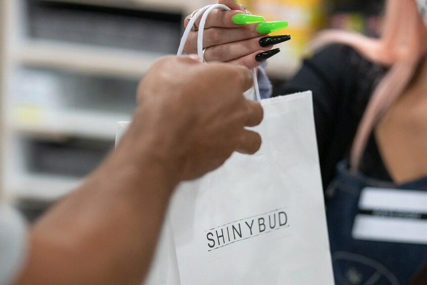 ShinyBud ends fiscal year with revenue up 95% to $20.6M