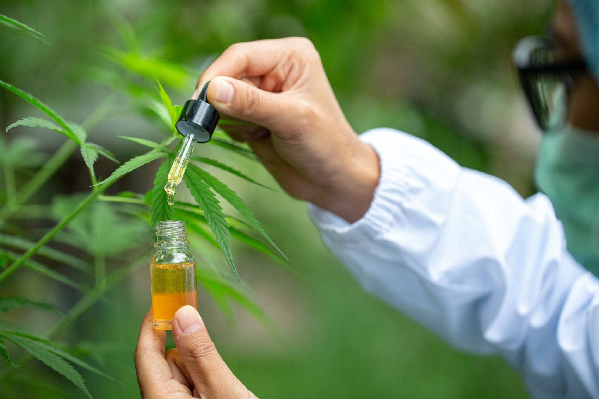 90% of patients report reduced chronic pain after using cannabis oil Khiron study