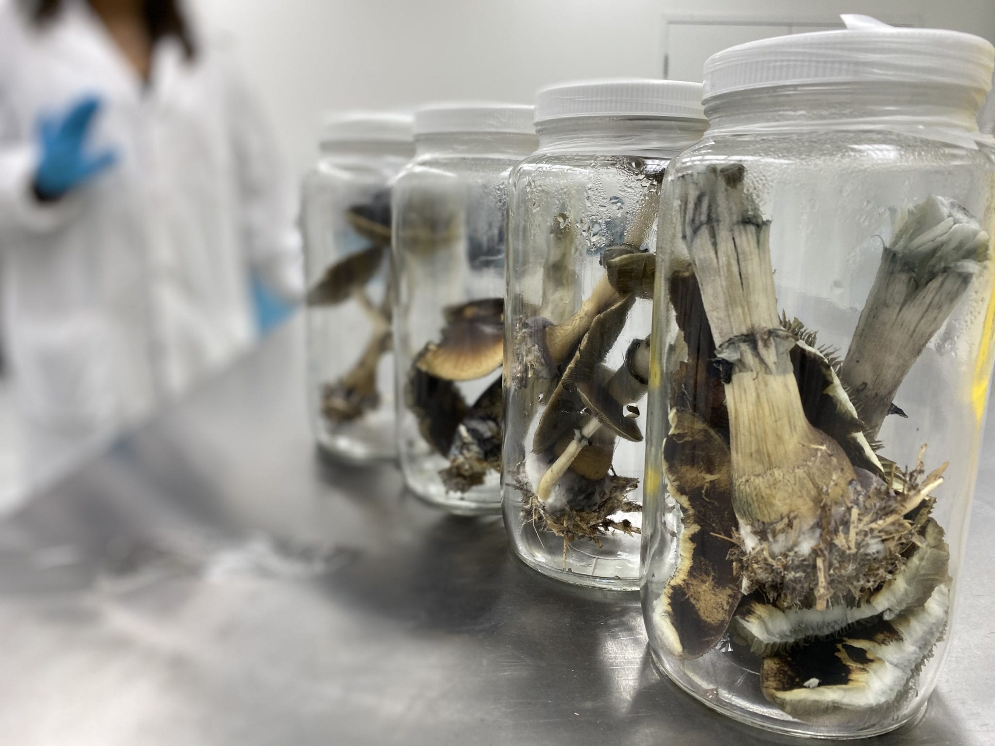 Canadian government to grant $3M for psilocybin research studies