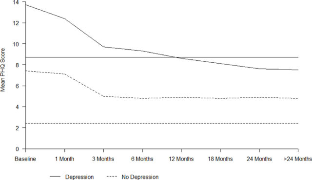 VIVO Depression Scores