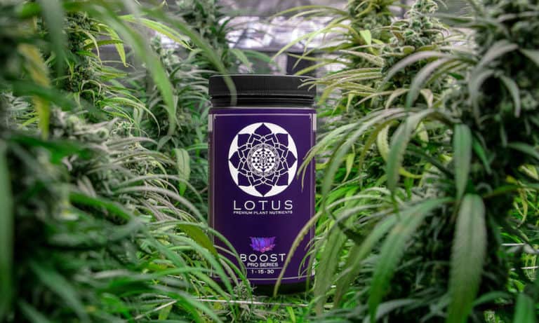 High Times commends Lotus for its high performance nutrients