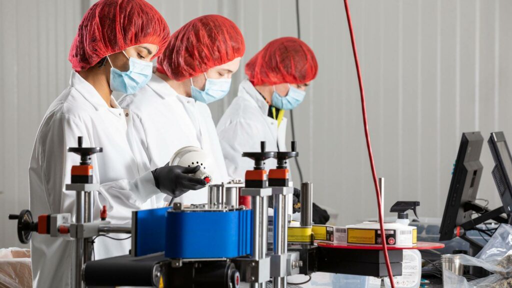 Indiva reports 8.1% decrease in Q2 gross revenue