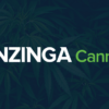 Benzinga Cannabis Capital Conference makes its way to Chicago