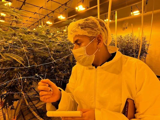 photo of Dartmouth scholars conduct study on energy efficiency for cultivation facilities image