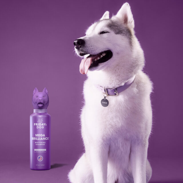 Friday's Dog deluxe pet products stand out in a growing market: Emerging companies