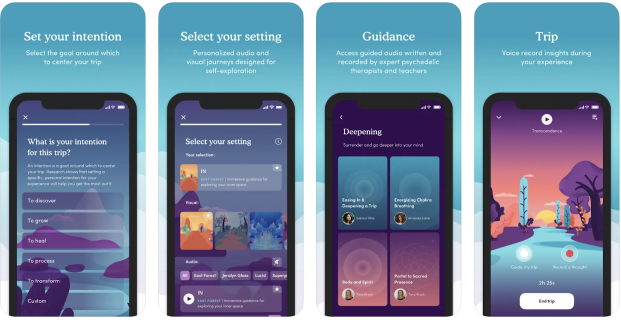 Field Trip offers free psychedelicassisted therapy for laid off tech