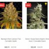 High Tide begins selling cannabis seeds in the U.S. via e-commerce platforms