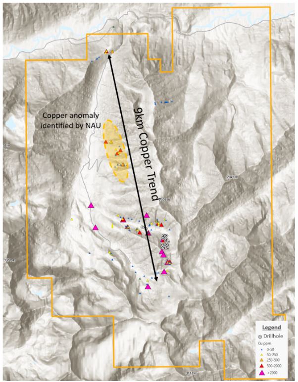 NevGold finds high-grade silver deposits at Ptarmigan, expands copper trend by 9 km