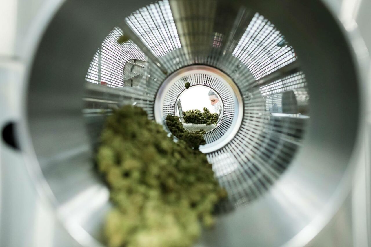 ROSE LifeScience to distribute HEXO's Quebecgrown cannabis