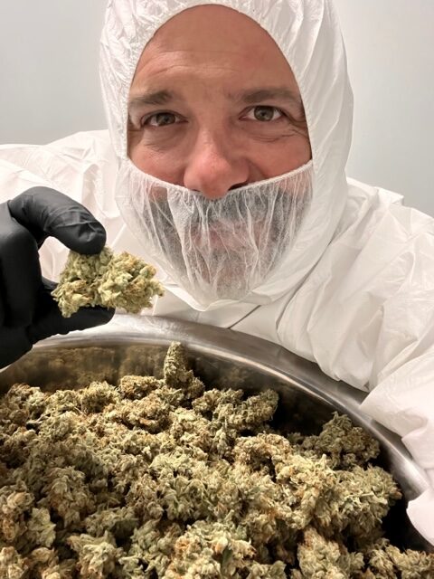 NUBU and Kalyx bring first domestically cultivated cannabis to patients in New Zealand.jpg