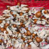 Optimi Health enters $1.2M psilocybin distribution agreement