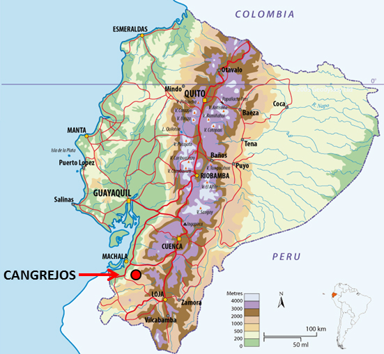 Wheaton Precious Metals acquires gold stream in Lumina Gold’s Cangrejos project for $300M