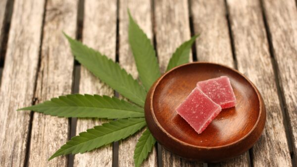 Cannabis helps cancer patients sleep better and think clearer: CU Boulder study