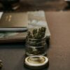 Mr. Cannabis Law firm invests US$100K in AI to streamline its activity