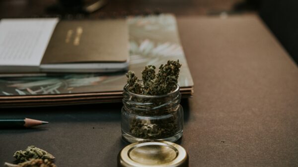 Mr. Cannabis Law firm invests US$100K in AI to streamline its activity
