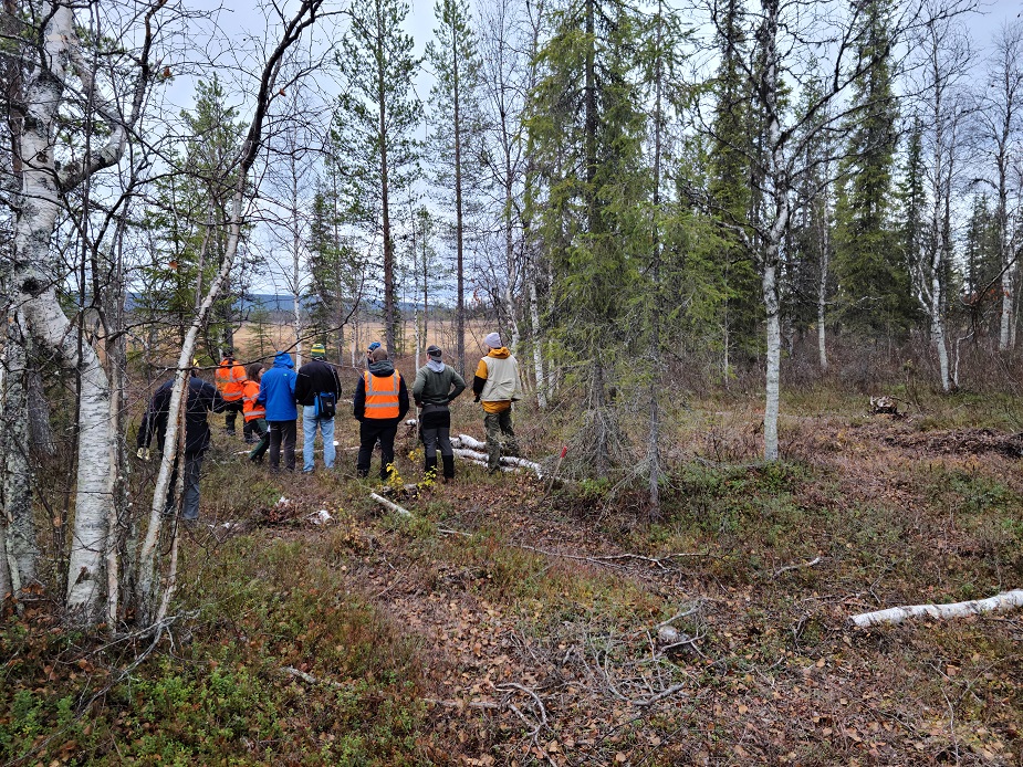 Aurion-B2Gold JV discovers significant gold mineralization South of Helmi3