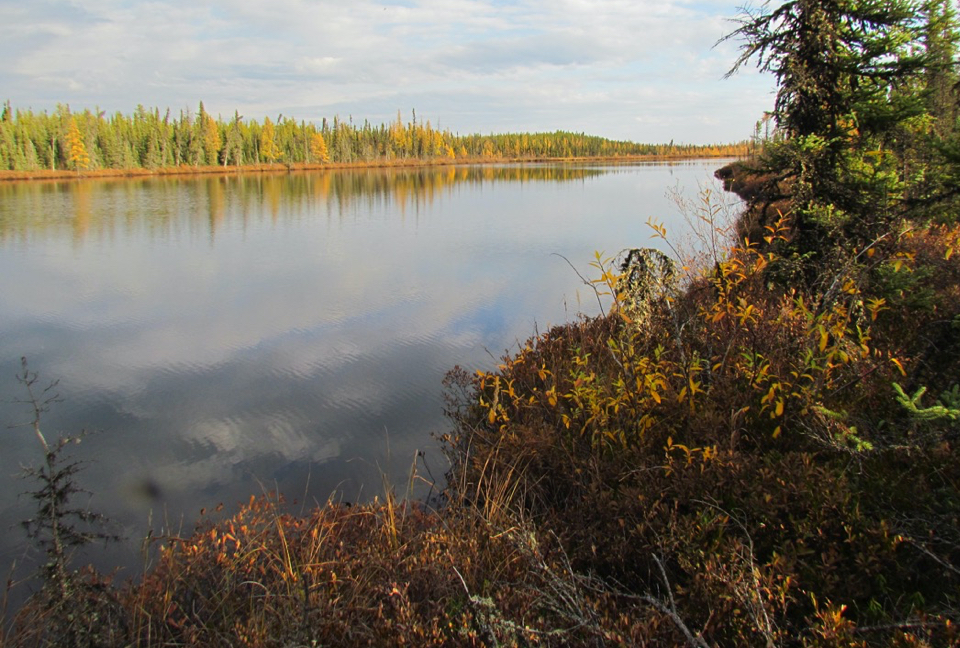 North Shore Uranium tests find prospective uranium at Falcon Property