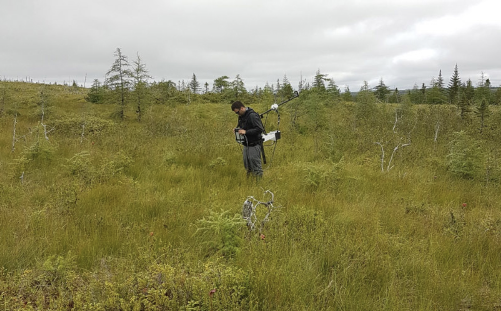 Great Atlantic searches for emerald and tungsten at Newfoundland's South Quarry property