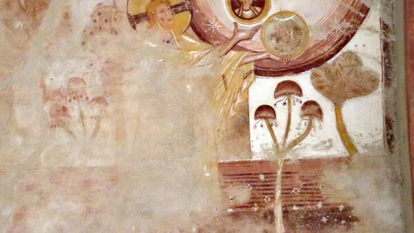 Colorado's first psychedelic church opens its doors